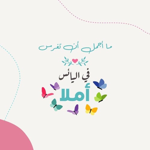 مفكرة رحلة لبيب لعالمه السعيد