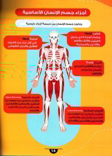 الموسوعة العلمية للأطفال أسرار جسم الانسان وطريقة...