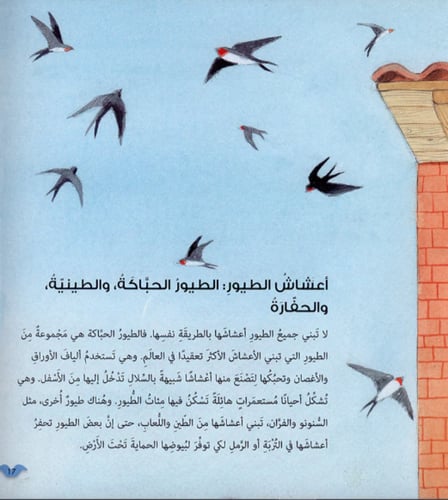 سلسلة أحب أن أعرف (4كتب)