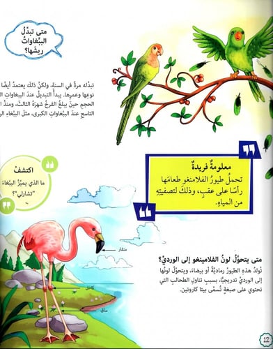 متى يرقص النحل؟