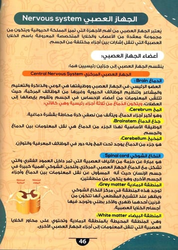 الموسوعة العلمية للأطفال أسرار جسم الانسان وطريقة...