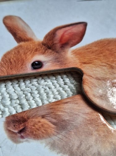 بازل الخضروات