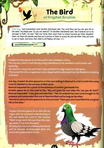 قصص الحيوان في القران - انجليزي wonderful stories...