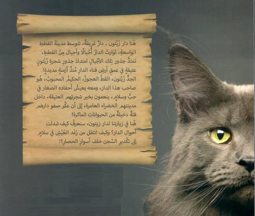 دار زيتون