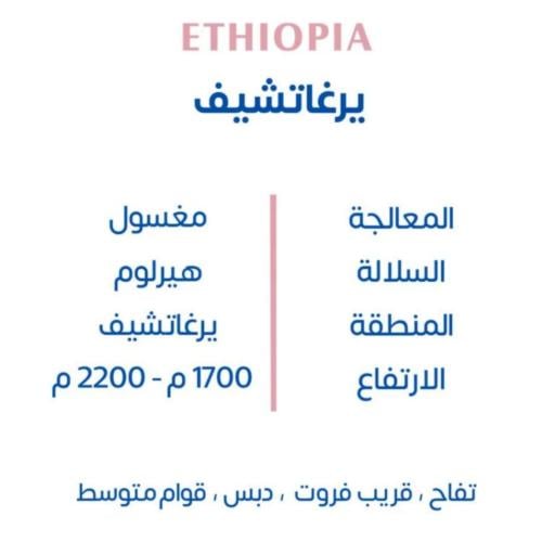 محمصة كوف - أثيوبيا يرغاتشيف , مغسولة 250g