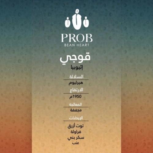 محمصة بروب - أثيوبيا قوجي , مجففة 250g