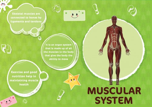كتاب جسم الإنسان - تقنية الواقع المعزز