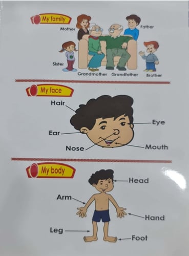 كتاب تعليم الكلمات الانجليزية للأطفال - اكتب وامسح