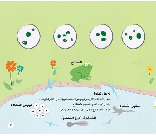 ألغاز الطبيعة - حيوانات الغابة