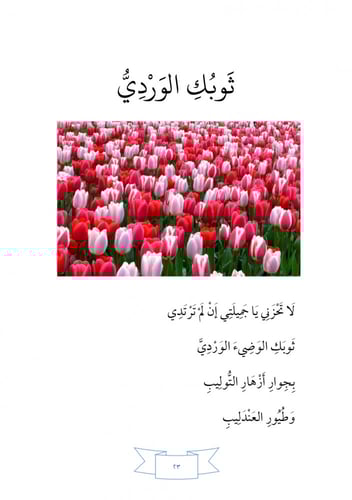 ديوان كبرياء ريشتي