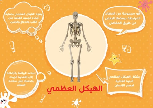 كتاب جسم الإنسان - تقنية الواقع المعزز