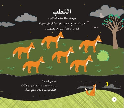 ألغاز الطبيعة - حيوانات الغابة