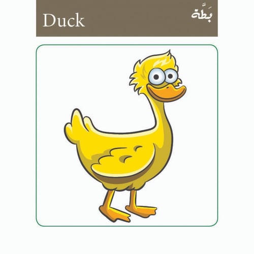 حيوانات الغابة