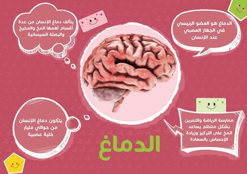 كتاب جسم الإنسان - تقنية الواقع المعزز