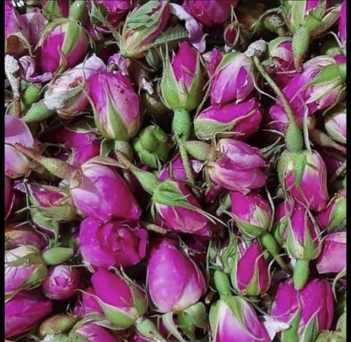 ورد مجفف