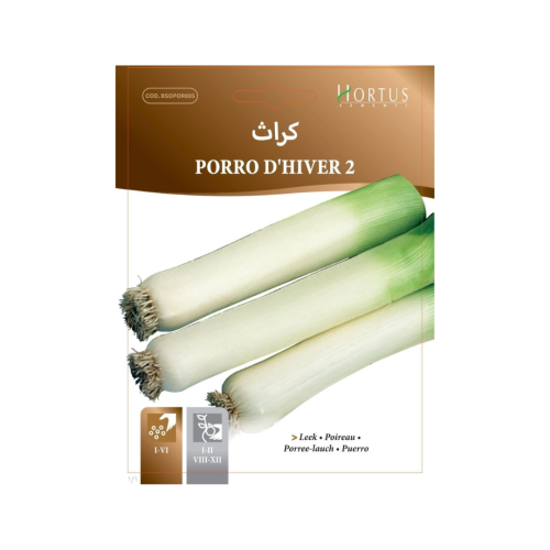 بذور كراث شتوي