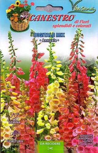 بذور زهرة قفاز الثعلب