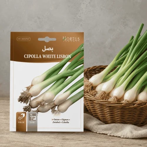 White Onion Seeds