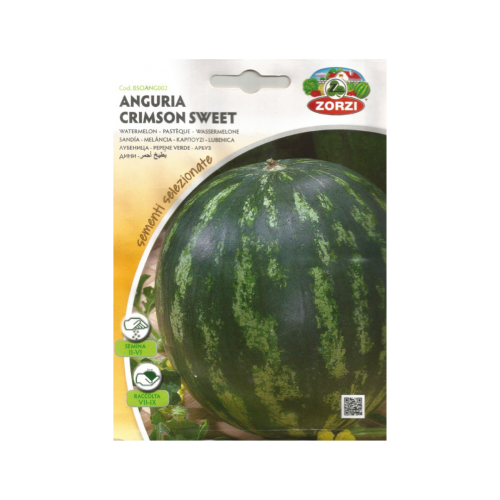 بطيخ أحمر Watermelon Crimson Sweet