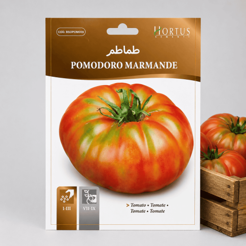 بذور طماطم مارماندي