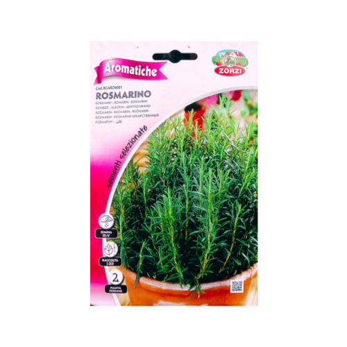 اكليل الجبل Rosemary