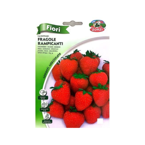 بذور فراولة