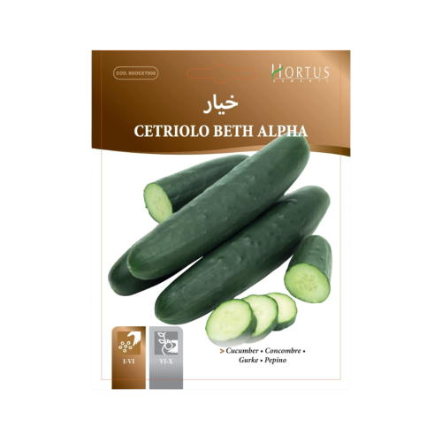 بذور خيار بيث ألفا