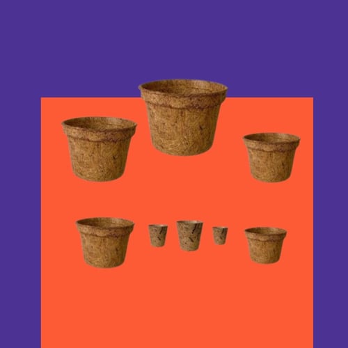 8 قطع أصيص جوز الهند الطبيعي كوكوبيت