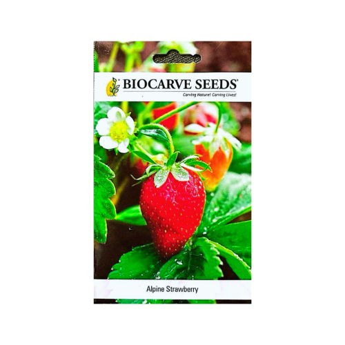 بذور الفراولة الجبلية