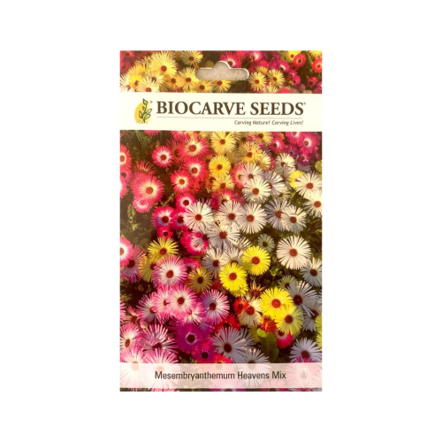 بذورزهور ميسمبريانثمم