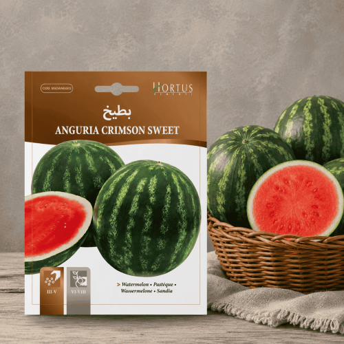 Watermelon Seeds Crimson Sweet