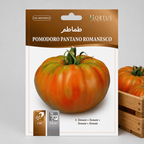 بذور طماطم بانتانو رومانسكو
