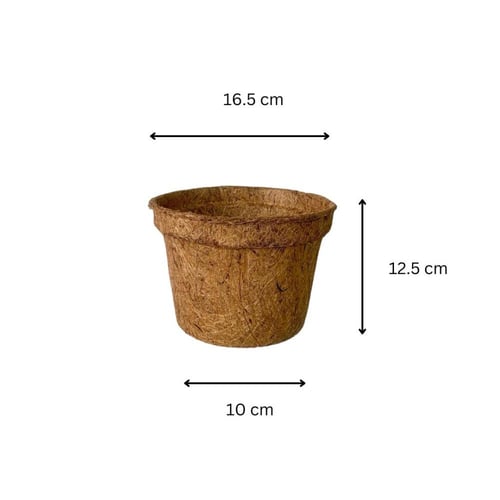 8 قطع أصيص جوز الهند الطبيعي كوكوبيت