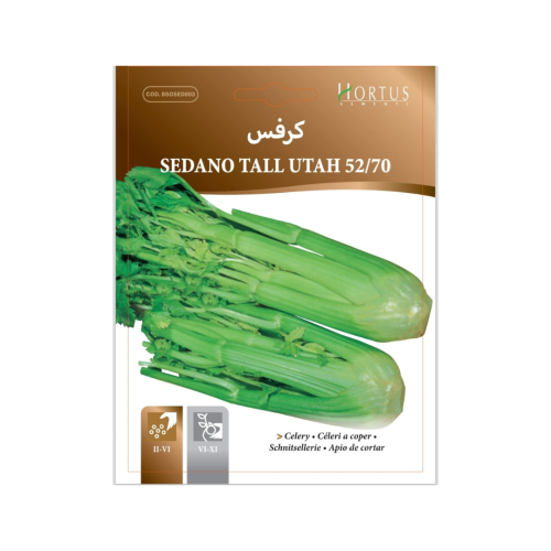 بذور كرفس طويل يوتاه 52/70