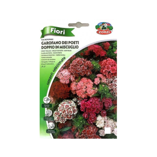 قرنفل Carnation