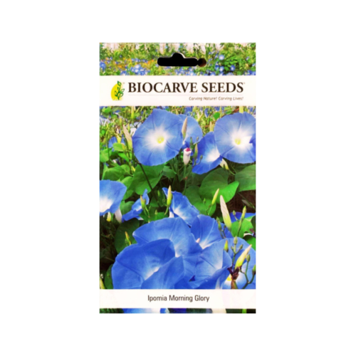 بذور بيوكارف زهرة مجد الصباح (إيبوميا)