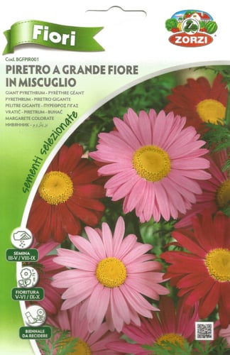 بريثيوم Pyrethrum