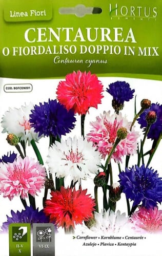 قنطريون عنبري Centaurea Cyanus