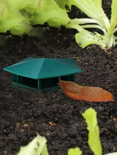 قفص سبيكة منزل الحلزون