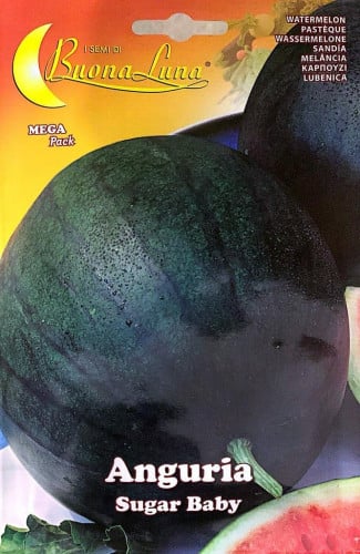 بذور بطيخ أحمر