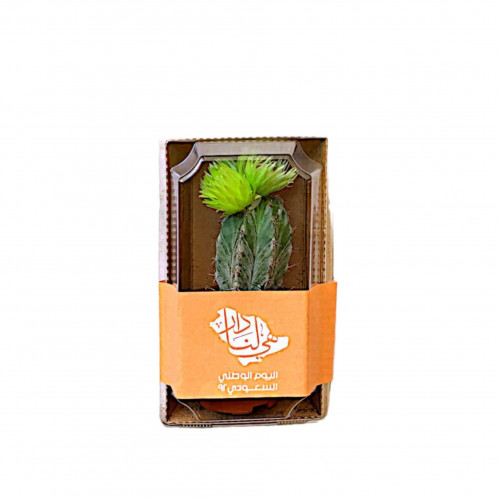 توزيعات اليوم الوطني