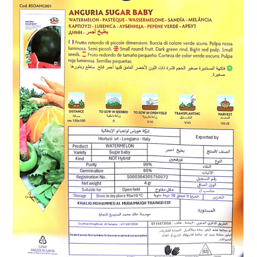 بطيخ أحمر Watermelon