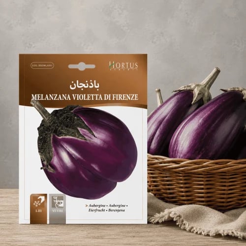 Violetta di Firenze Eggplant Seeds