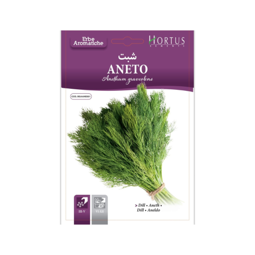 بذور الشبت أنِيتو