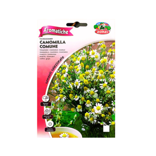 بابونج Chamomile