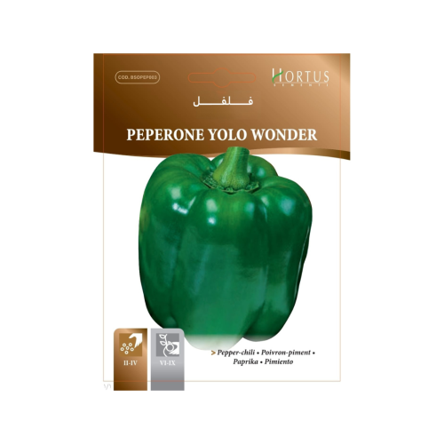 بذور فلفل حلو يولو وندر