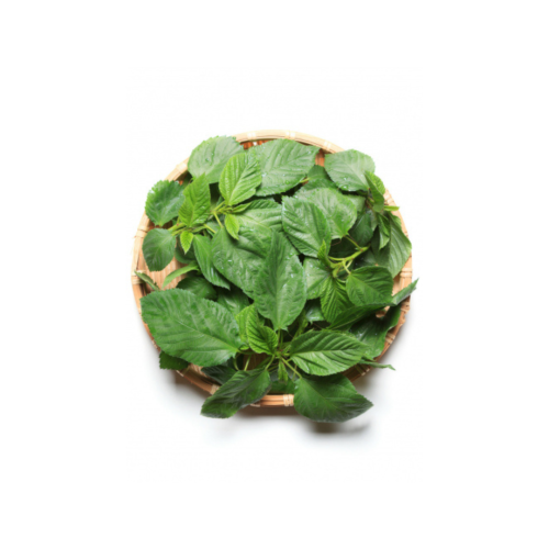 بذور ملوخية