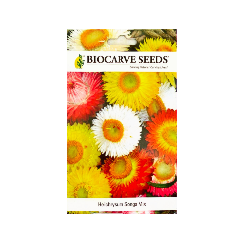 بذور خليط أزهار هيليكرسوم