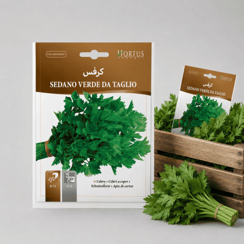 Green Leaf Celery Seeds