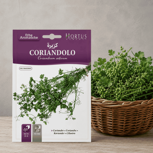 Coriander Seeds